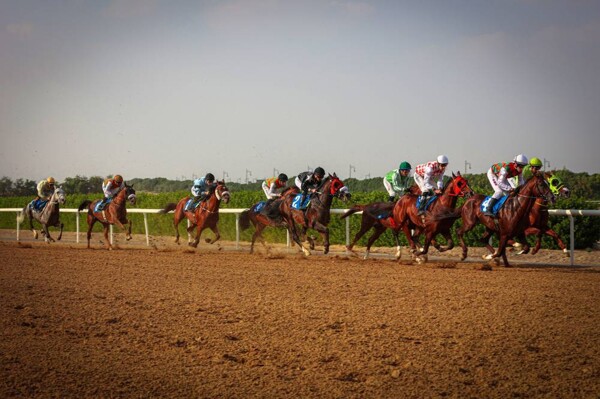 Omani Horse 'SSR Kheelan' Wins GCC Cup Title